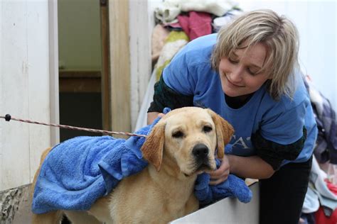 Veterinary Volunteer Jobs
